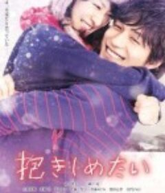 想要拥抱你 抱きしめたい -真実の物語-            (2014)