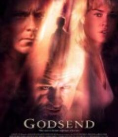 天赐 Godsend            (2004)
