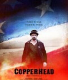 南北之殇 Copperhead            (2013)