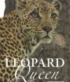 花豹女王 Leopard Queen            (2011)