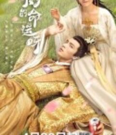 奇妙的命运呀            (2021)