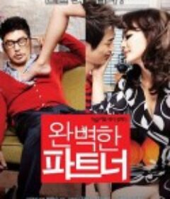 完美搭档 완벽한 파트너 (2011)