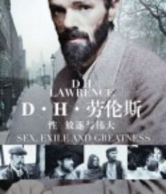 D·H·劳伦斯：性、放逐与伟大 DH Lawrence: Sex, Exile and Greatness            (2020)