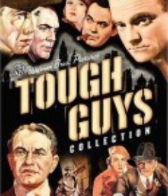 黑帮：移民的英雄 Gangsters: The Immigrant's Hero            (2006)