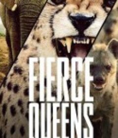 捕猎皇后 Fierce Queens            (2020)