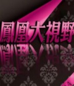 横戈蹈虎穴：解放军剿匪纪事 橫戈蹈虎穴：解放軍剿匪紀事            (2014)