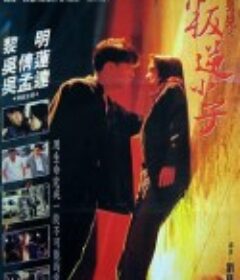 都市情缘            (1994)
