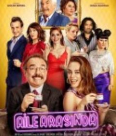 家族婚礼 Aile Arasinda            (2017)