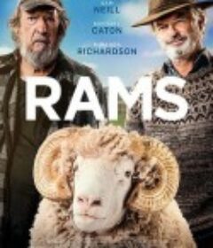 公羊 Rams            (2020)