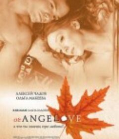 爱情公寓 Orangelove            (2007)