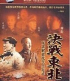 铁马冰河：东北解放战争全纪录            (2008)