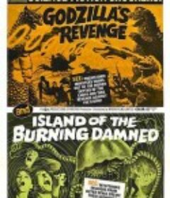 炎热之夜 Night of the Big Heat            (1967)