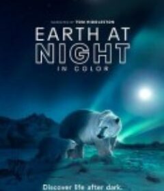夜色中的地球 第二季 Earth at Night in Color Season 2            (2021)