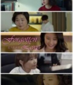 波加顿之恋 포가튼 러브            (2020)