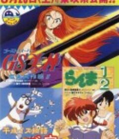 乱马 OVA特别篇/无差别格斗对凤凰 らんま1/2  超無差別決戦！乱馬チームｖｓ伝説の鳳凰            (1994)