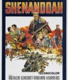 烽火田园 Shenandoah            (1965)
