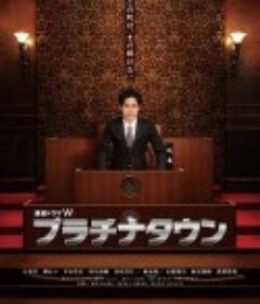 白金镇 プラチナタウン            (2012)