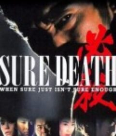 必殺! 必殺! THE HISSATSU            (1984)