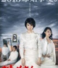 婆婆大人 おトメさん            (2013)