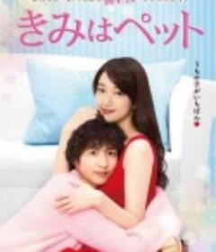 宠物情人 きみはペット            (2017)