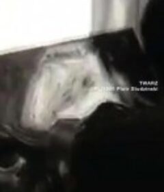 面孔 Twarz            (1966)