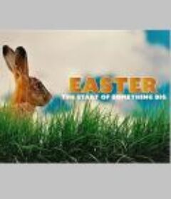 复活节：风俗起源 Easter: The Start of Something Big （2021）