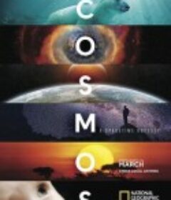 宇宙时空之旅 Cosmos: A SpaceTime Odyssey            (2014)