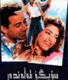 恐惧 Darr            (1993)