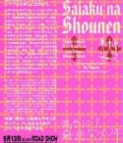 偶遇极恶少年 偶然にも最悪な少年            (2003)