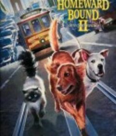 看狗在说话之旧金山历险记 Homeward Bound II: Lost in San Francisco            (1996)