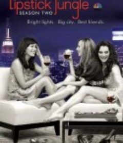 口红丛林  第二季 Lipstick Jungle Season 2            (2008)