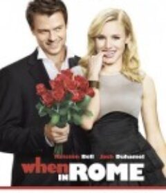 罗马情缘 When in Rome            (2010)