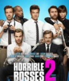 恶老板2 Horrible Bosses 2            (2014)