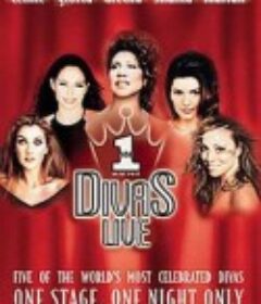 世纪天后的喝彩 Divas Live: An Honors Concert for VH1 Save the Music            (1998)