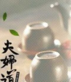 夫妇道 夫婦道            (2007)