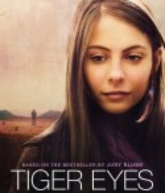 老虎的眼睛 Tiger Eyes            (2012)