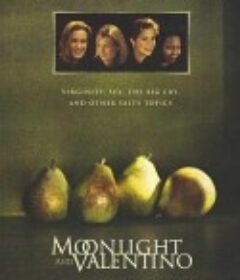 月光情圣 Moonlight and Valentino            (1995)