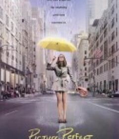 构想完美 Picture Perfect            (1997)
