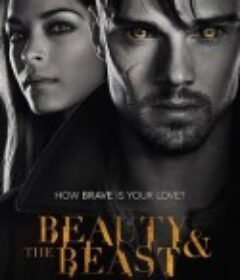 侠胆雄狮 第一季 Beauty and the Beast Season 1            (2012)