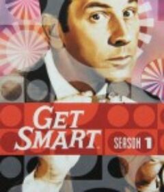 糊涂侦探 全五季 Get Smart Season 1            (1965)