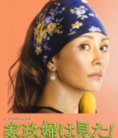 家政妇看见了！ 家政婦は見た!            (2015)