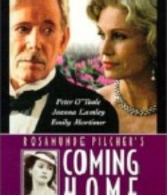 爱如潮水 Coming Home            (1998)