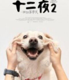 十二夜2：回到第零天            (2020)
