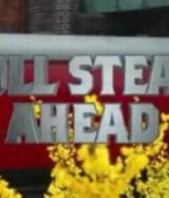 全速前进：英国蒸汽火车时代 Full Steam Ahead            (2016)