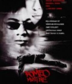 致命罗密欧 Romeo Must Die            (2000)