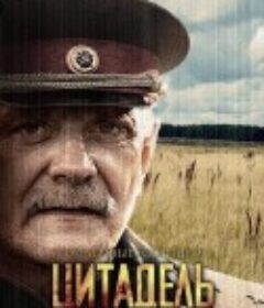 烈日灼人2(下)：碉堡要塞 Утомленные солнцем 2: Цитадель            (2011)