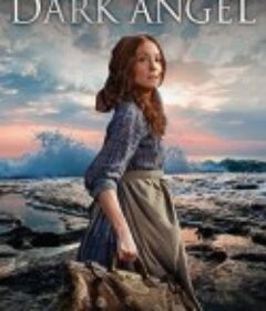 黑暗天使 Dark Angel            (2016)