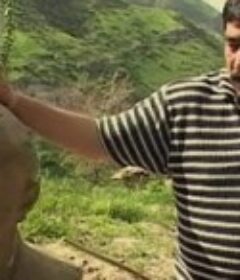 CBC访问斯坦：塔吉克斯坦 CBC Meet the Stans: Tajikistan            (2006)