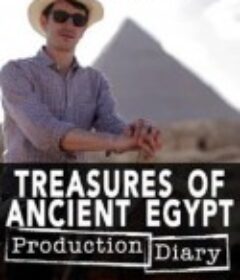 古埃及的瑰宝 Treasures of Ancient Egypt            (2014)