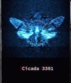 暗网：蝉3301 Dark Web: Cicada 3301            (2020)